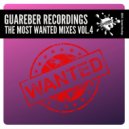 Micky Friedmann - Start To Party (Roger Grey Remix)