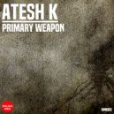 Atesh K. - Thrill Seekers