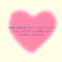 Deep Fidelity feat. Karina Chavez - Looks Like I\'m In Love Again (Nigel Lowis Diamond Cut Radio Edit)