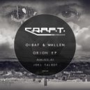 OIBAF&WALLEN - Bjorn (Original Mix)