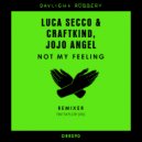 Luca Secco & Craftkind, Jojo Angel - Not My Feeling