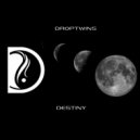 Droptwins - Destiny (Original Mix)