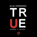 Aquadeep, Veesoul - We Got The Groove