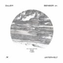 Zalem - Travel (DAS Remix)