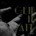 Tod Senvanz - Geminate (Original Mix)