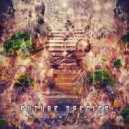 Future Species - Quantum Field