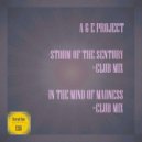 A & E Project - In The Mind Of Madness