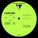 Caniform - Groovin'