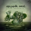 Organik Soul - Slow Motion