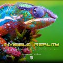 Invisible Reality - Indigo (Original Mix)