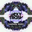 Darwin Swed - One of 1989 (Original Mix)