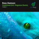 Ross Homson - Snakehead (Megaman Remix)