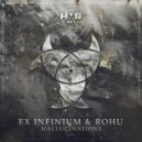 Ex Infinium & Rohu - Hallucinations