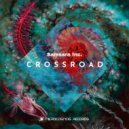 Samsara Inc. - Breeze