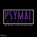 Mr. Spook - Heavy Hitter (Original Mix)