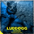 LudDogg - Zeko Rek\'o (Original Mix)