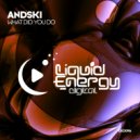 Andski - What Did You Do (Radio Edit)
