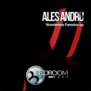Ales Andru - Spacetime Odyssey