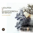 Liquitek & Electrosoul System - Digital Mystery Tour (Original Mix)