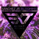 Sánchez Jr. - Blooming