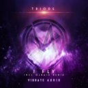 Triode - I Fly (Olbaid Extended Remix)