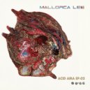 Mallorca Lee - Welcome To My Acid House (Extended Mix)