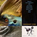SilMi - Cassowary Song (Outro)