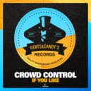 Crowd Control - If You Like (Lux Experience Remix)