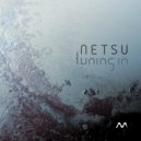 Netsu, Miraceti - Nothing Special (Original Mix)