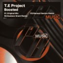 T.E Project - Boosted