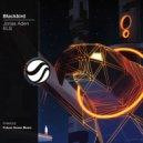 Jonas Aden & ELS - Blackbird (Original Mix)