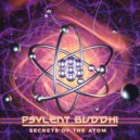 Psylent Buddhi - Metalucid (Original Mix)