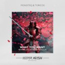 Monoteq & Toricos - What You Want