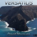 David Marques - Step by Step