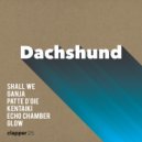 Dachshund - Echo Chamber (RE-201 Mix)