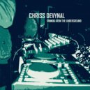 Ref - Love Addition (Chriss DeVynal Remix)