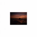Mindfulness Healing Bgm Project - Myself and Nervousness