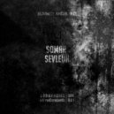 Somar Sevleuh - Hydrangea (Original Mix)