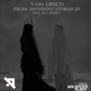 Yari Greco - From Different Storms