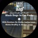 Amateur At Play - Black Dogs In Car Parks