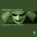 Evergreen Symphony - Wacky Souls (Original Mix)