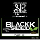 BlackkSeed - Piano High (BlackkSeedz Demo Print)