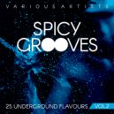 Deepberry - Only You (Original Mix)