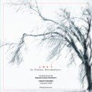 Stefano Estremadoyro - Lost