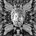 Steady State - Morphine
