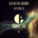 Destination Unknøwn - Voyager (Original Mix)