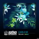 Carlo M (PE) - Not A Sin