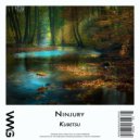 Ninjury - Wishbone (D1M1 Radio Remix)