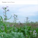 Plesiada - Enlightenment (Original Mix)