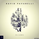 David Pavanelli - Wawe